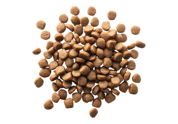 a pile of dry dog food