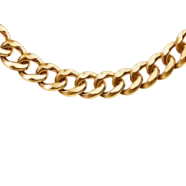 a gold chain necklace