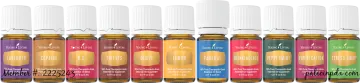 a set of essential oils for aromas