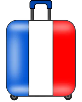 a suitcase with the flag of france