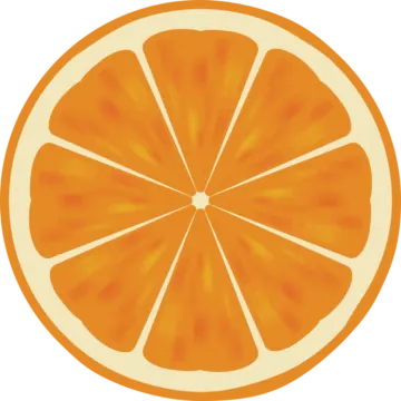 an orange slice on a white background