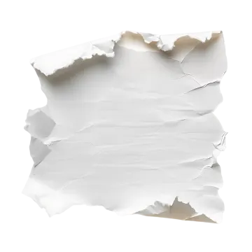 a piece of torn paper on a white background