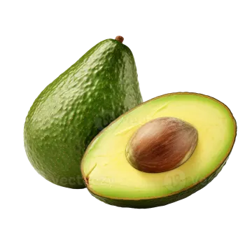 two avocas on a white background