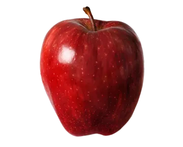 a red apple on a white background