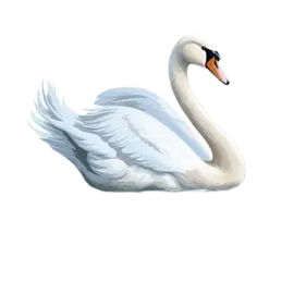 a white swan is swimming in the water
