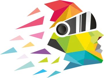 the logo of a camera with colorful triangles