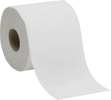 a roll of toilet paper