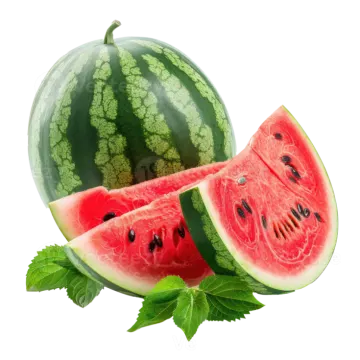 watermelon with slices and leaves isolated on a white background
