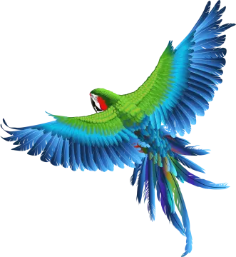 a parrot flying with its wings spread out
