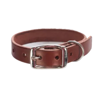 a brown leather dog collar with a silver buckle