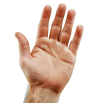 a person's hand reaching up to the sky