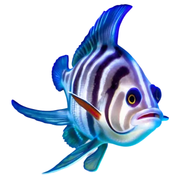 a blue and white fish on a white background