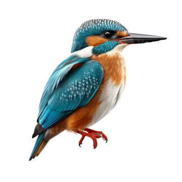 a bird sitting on top of a wooden post