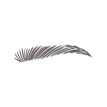 a black and white drawing of a feather