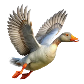 a white duck flying with its wings spread