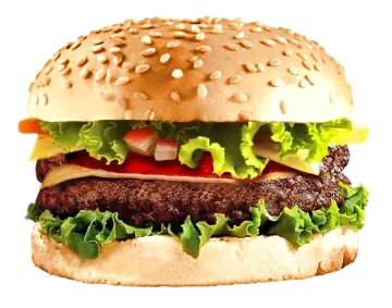 a hamburger on a white background
