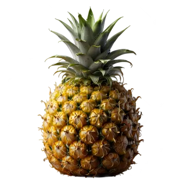 a pineapple on a white background