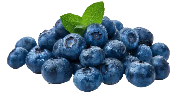 a pile of blueberries with green leaves