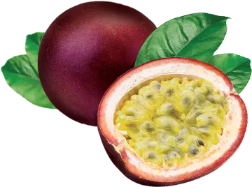 a passion fruit cut in half on a white background