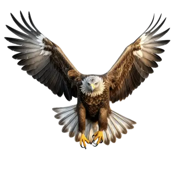 an eagle is flying in the air with its wings spread