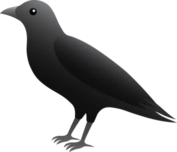 a black crow silhouetted on a white background