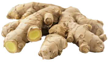 a pile of fresh ginger root on a white background