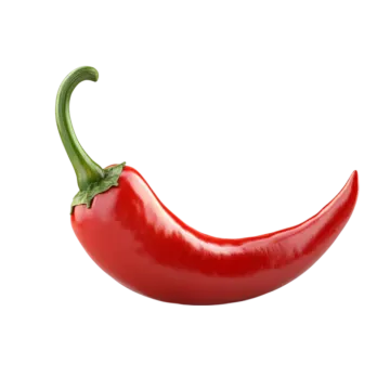 a red pepper on a white background