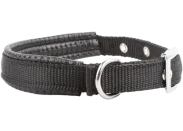 a black leather dog collar with a silver buckle