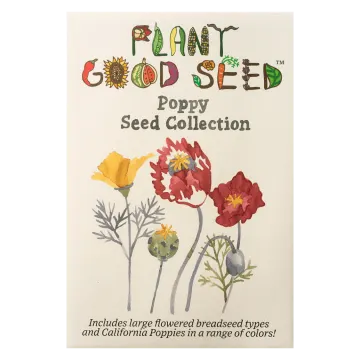 a card with an illustration of red and yellow flowers