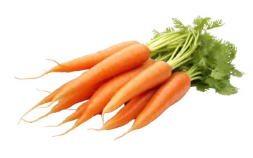 a bunch of carrots on a white background