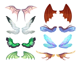 a set of different wings on a white background