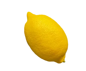 a yellow lemon on a white background