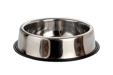 a stainless steel dog bowl on a white background