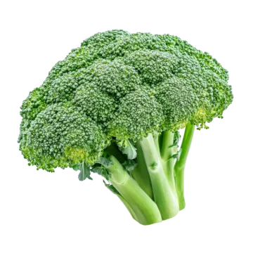 a close up of a piece of broccote