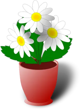a red pot with white flowers in it