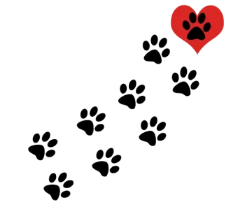 a heart and paws on a transparent background