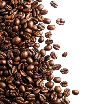 a pile of coffee beans
