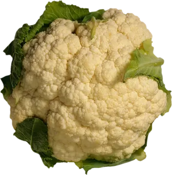 a close up of a head of caulide