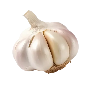 a garlic bulb on a white background
