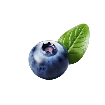 a blueberry on a white background