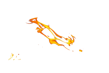 fire on a white background