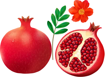 a red pome with leaves and a flower