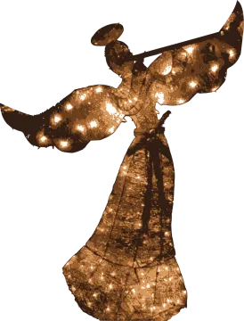 a silhouette of a woman in a long dress