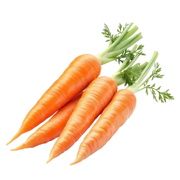 a bunch of carrots