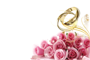 pink roses and gold wedding rings