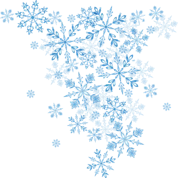 a bunch of blue flowers on a white background