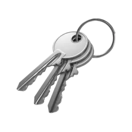 a bunch of keys on a white background