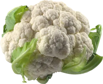 a close up of a head of caulide