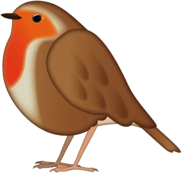 a brown bird with orange and white feathers