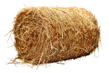 hay bale isolated on white background